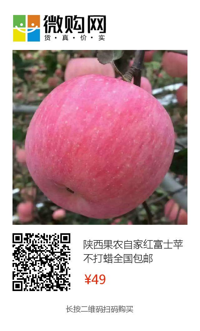 愁啊！万斤“红富士苹果”无人收，4元/斤！果农：卖不掉今年就白干了...