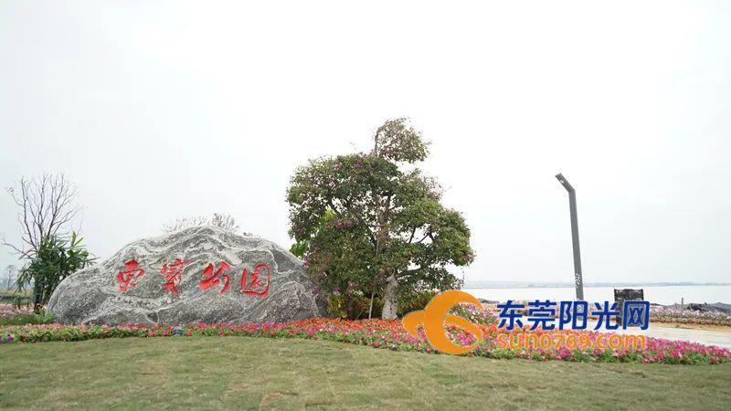春节想在东莞看“海”？攻略帮你备好了！