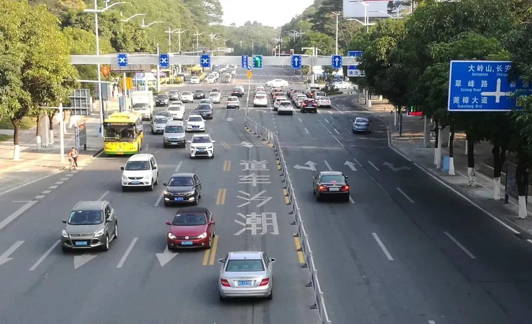 @东莞人，遇到这6种交通违法行为，立即拿出手机举报！