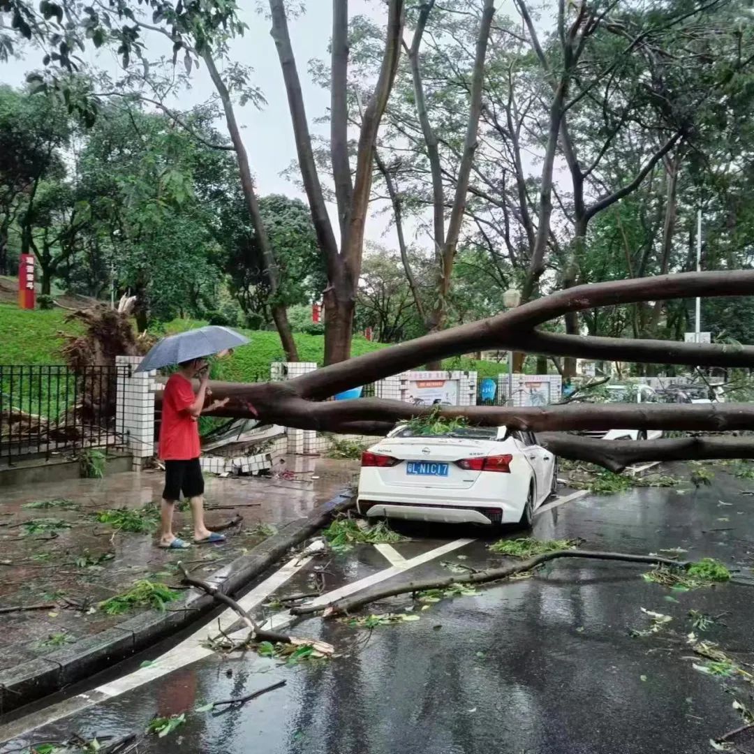 可怕! 树木倒塌、车辆被砸...！东莞突发10级狂风+暴雨+雷暴！